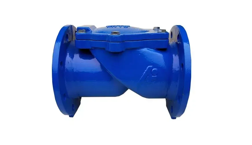 קרא עוד אודות Check Valve Assy